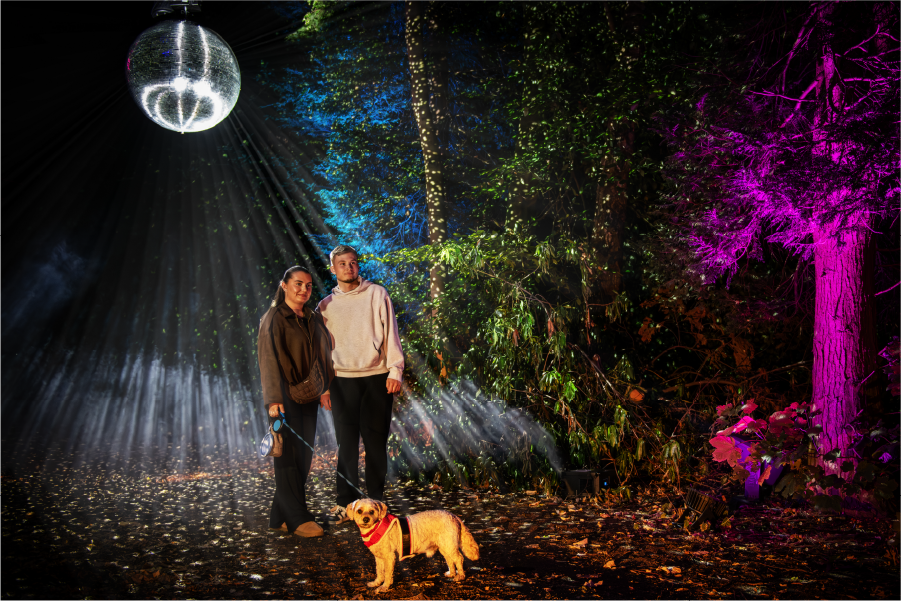Winter Light Experience illuminated trail scene 3
